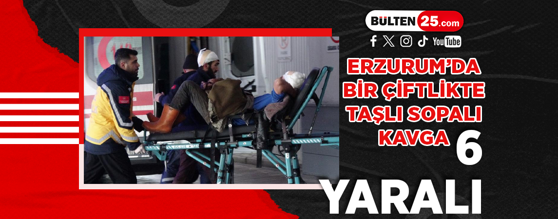 ERZURUM’DA BİR ÇİFTLİKTE TAŞLI SOPALI KAVGA: 6 YARALI