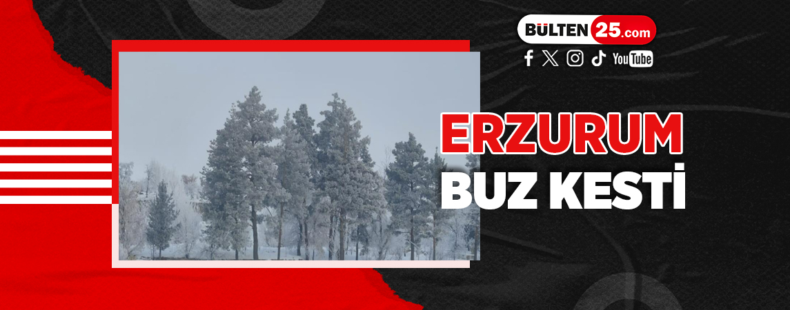 ERZURUM BUZ KESTİ