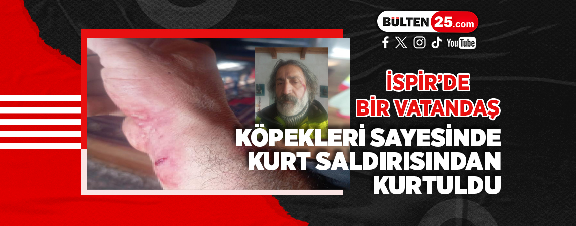 İSPİR’DE BİR VATANDAŞ KÖPEKLERİ SAYESİNDE KURT SALDIRISINDAN KURTULDU