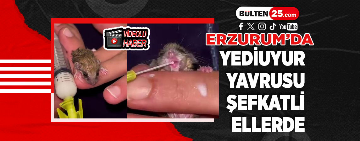 ERZURUM’DA YEDİUYUR YAVRUSU ŞEFKATLİ ELLERDE